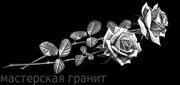 Розы 960рублей